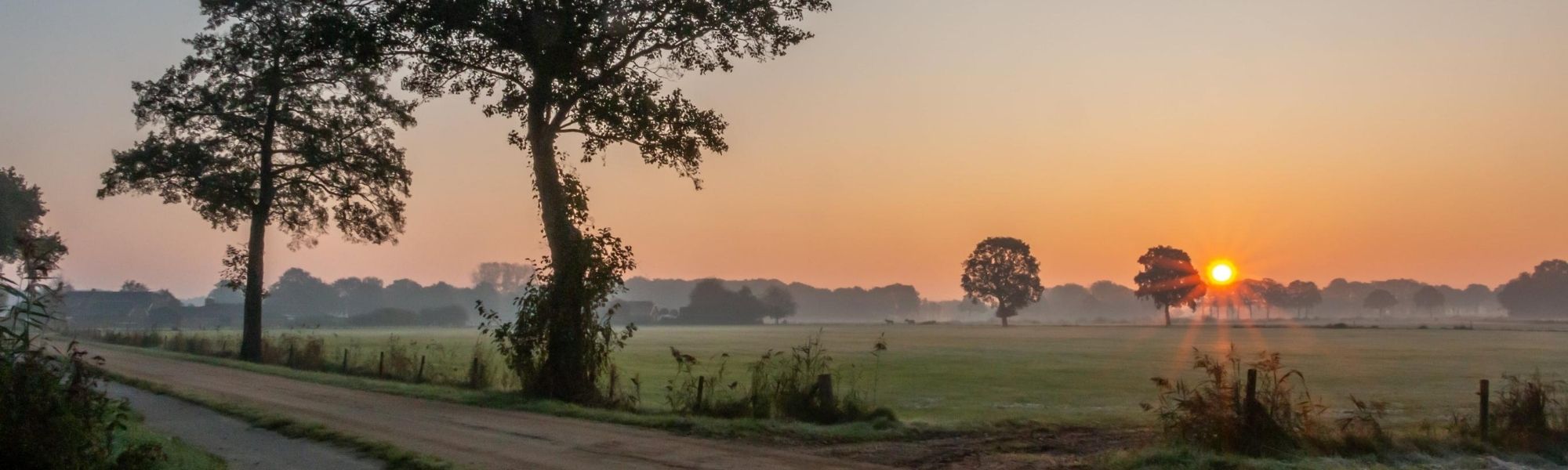 Ondernemersvereniging Harfsen ondernemersvereniging-harfsen