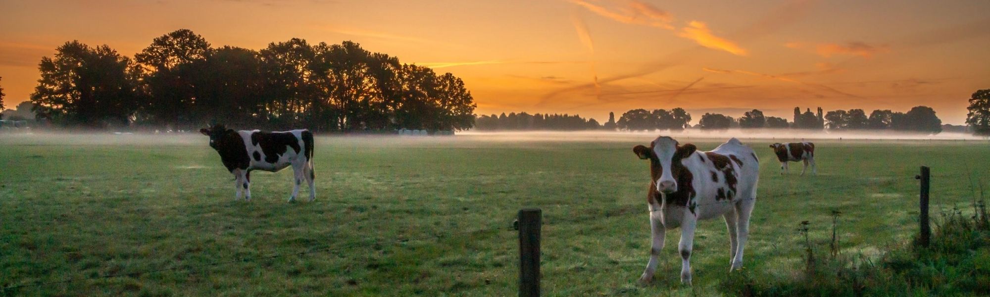 ondernemersverenigingharfsen-lid-worden